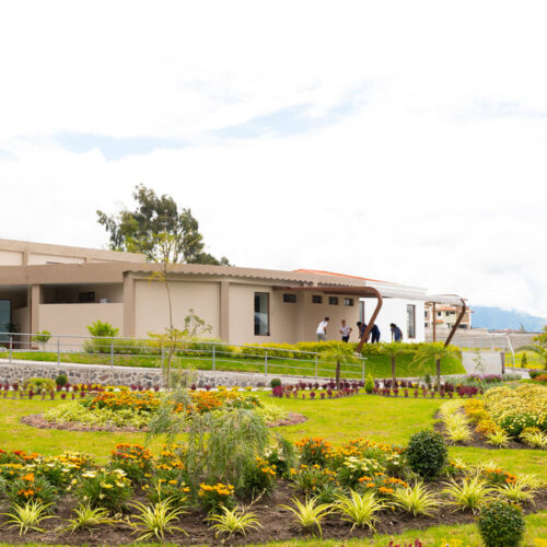 Socialización y bienestar en residencias de adultos mayores en Ecuador para personas de  Panamá